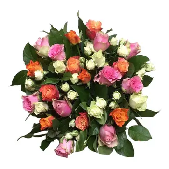 Bouquet de Roses Mélangées – Cadeau populaire