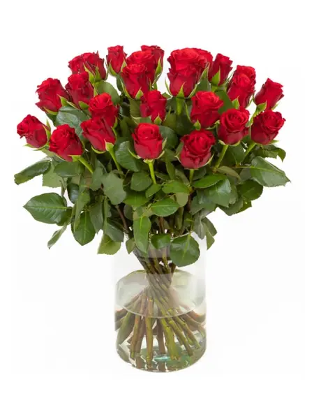 Bouquet de Roses Rouges