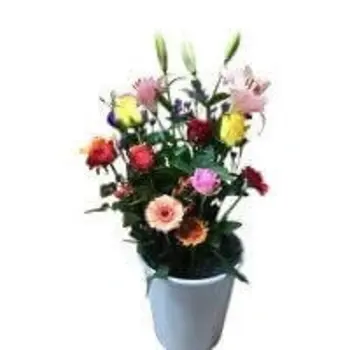 Firenze Bloemenatelier – Handgemaakte Boeketten, Bloemstukken & Planten Bouquet Champêtre Multicolore