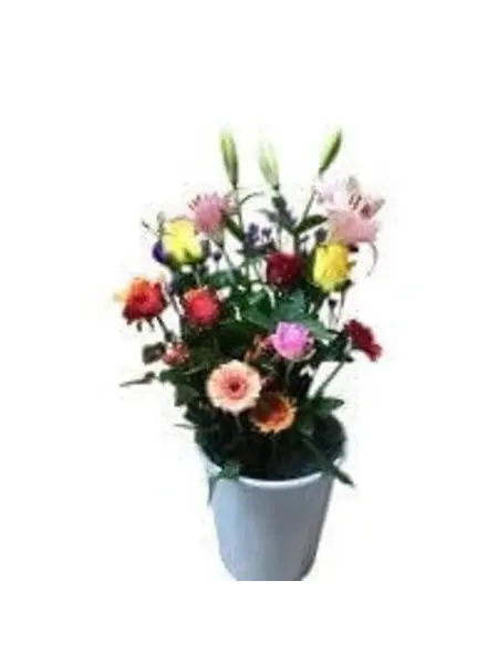 Veldboeket Bonte Kleuren