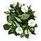  Bouquet Blanc