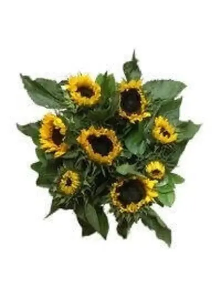 Boeket Zonnebloemen