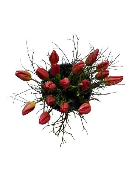 Bouquet de Tulipes Rouges avec Myrtilles