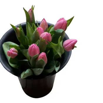 Boeket Roze Tulpen met Speelse Bosbes
