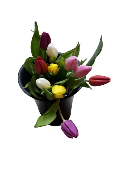 Mix Tulpenboeket met Speelse Bosbes
