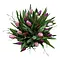  Tulpen Boeket Pastel met Speelse Bosbes