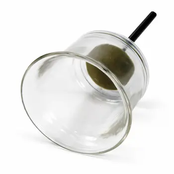 Clear Glass Tealight Holder on Stake