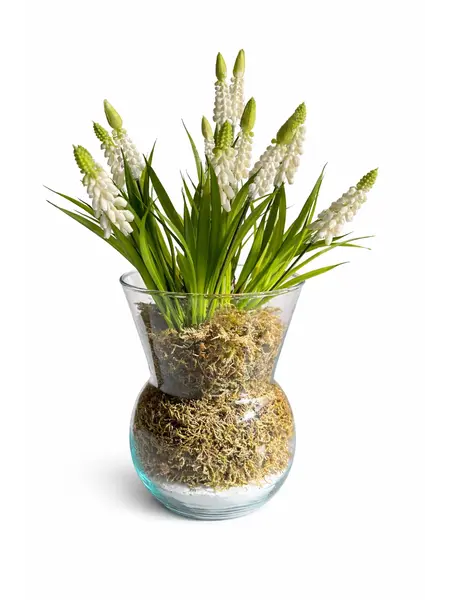 Fleurs Artificielles Muscari Blancs en Vase