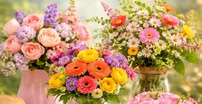 Tendances des Fleurs de Printemps 2026: Couleurs & Inspiration