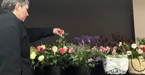 Over Firenzebloemen Kalmthout