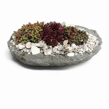 Plantenarrangementen