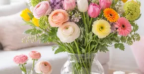 The 5 most beautiful spring flowers of April