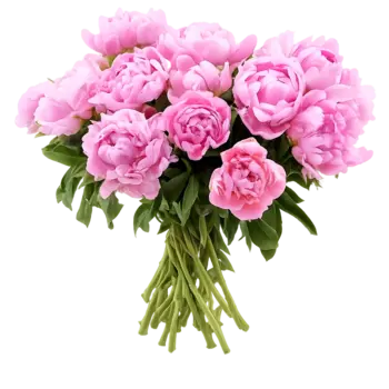 Bouquet of Peonies