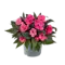  Vlijtig Liesje – Impatiens 'New Guinea'