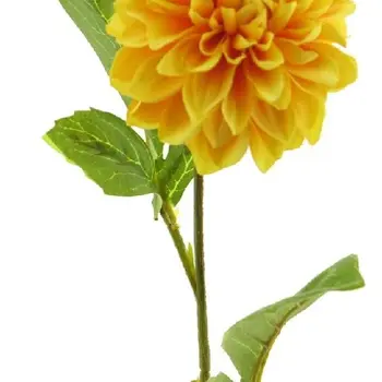 Dahlia George Jaune