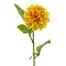  Dahlia George Geel