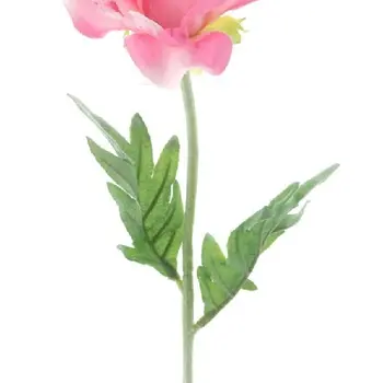 Spray de coquelicot Pfalz Rose
