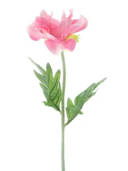 Poppy spray Pfalz Pink