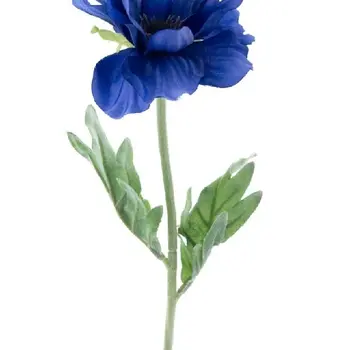 Poppy spray Pfalz Blue