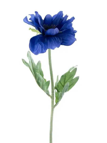 Klaproos Spray Pfalz Blauw
