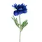  Poppy spray Pfalz Blue