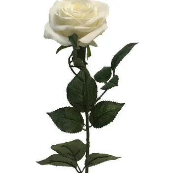 Rosa Dijon Cream