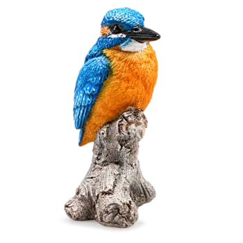 Kingfisher on a tree trunk