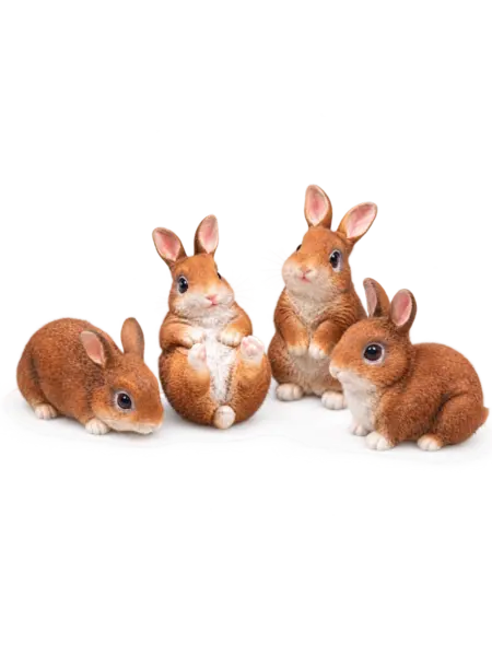 Lapin