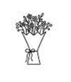 Nicely packed your products for FREE