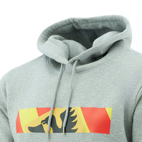Topfanz Grey hoodie with detail club crest