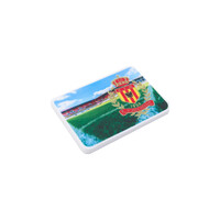 Topfanz Magneet AFAS stadion