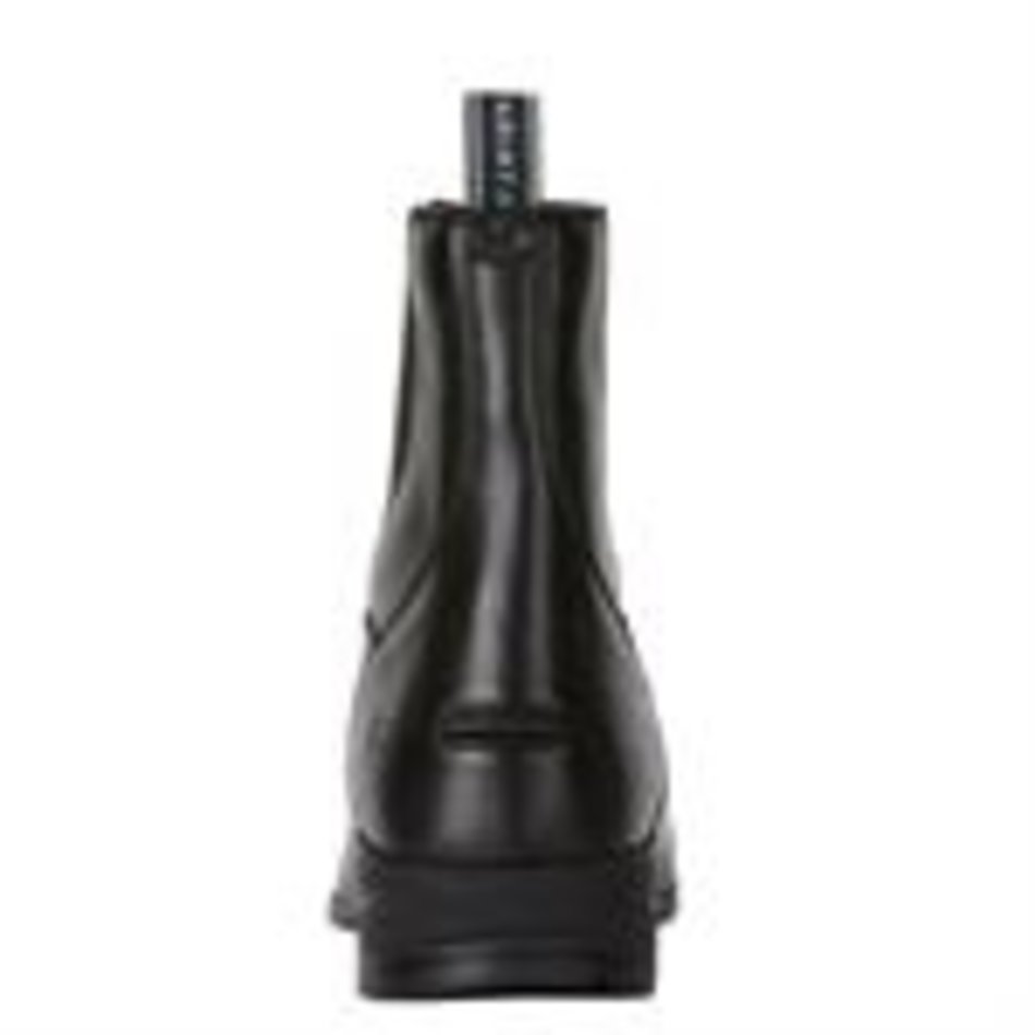 Ariat Schoenen Heren