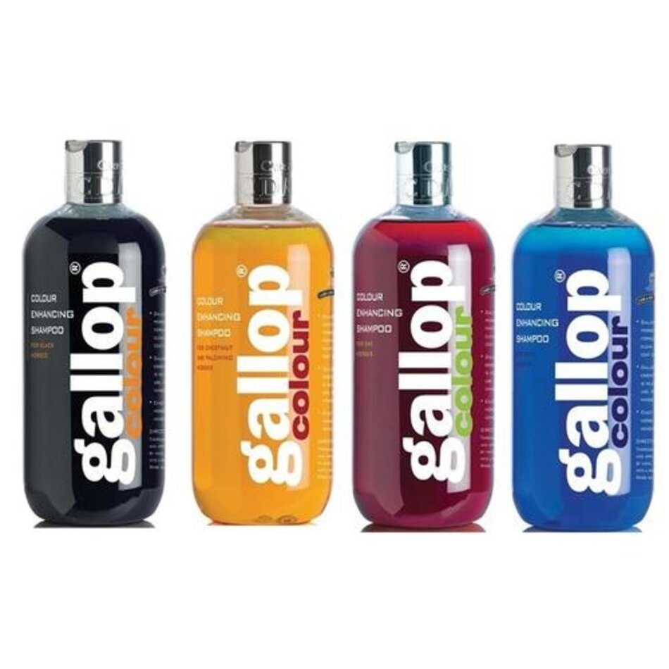 Carr & Day & Martin gallop colour