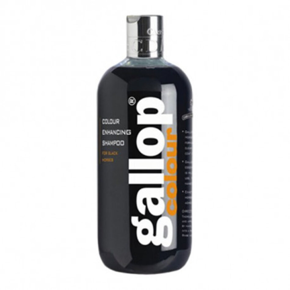 Carr & Day & Martin gallop colour