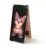 Magnetic Bookmark, Kitten on black background