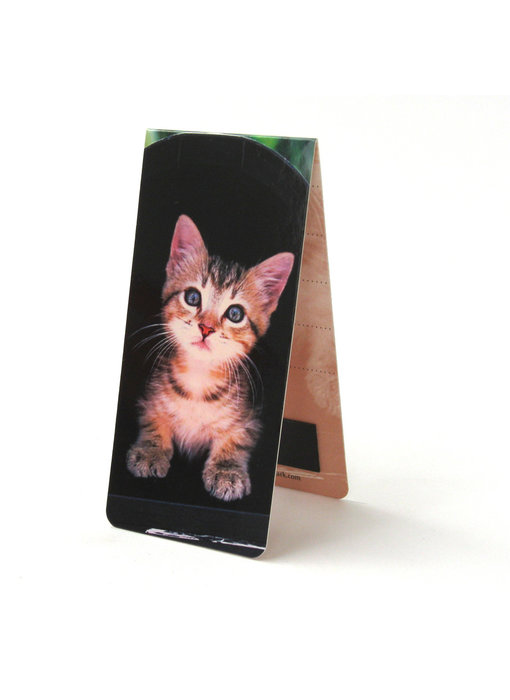 Magnetic Bookmark, Kitten on black background