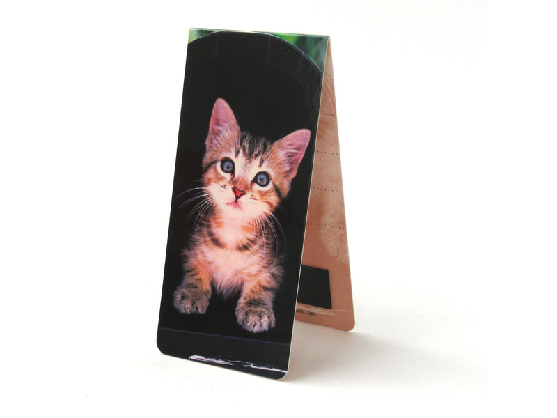 Magnetic Bookmark, Kitten on black background