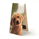 Magnetische Boekenlegger, Hond