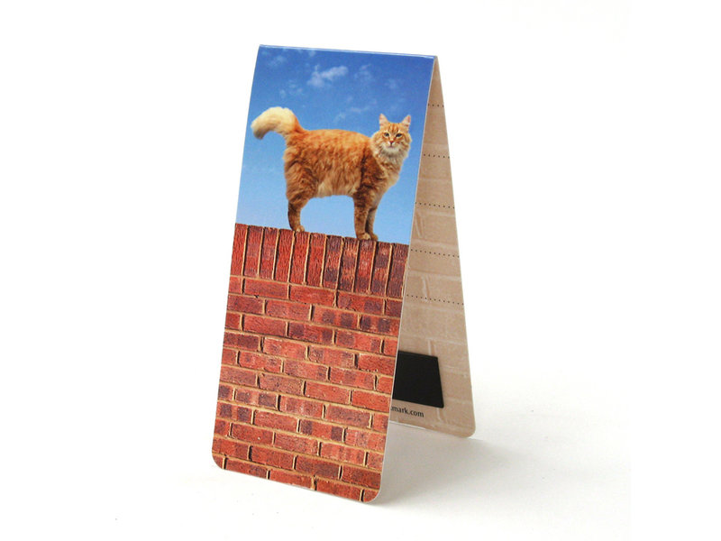 Marque-page magnétique, chat sur un mur