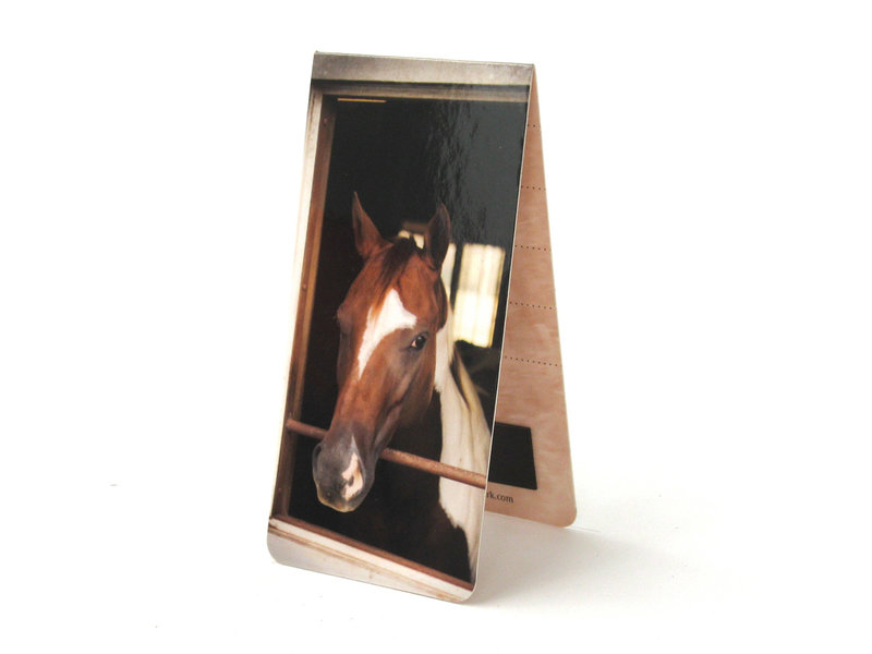 Magnetische Boekenlegger, Paard