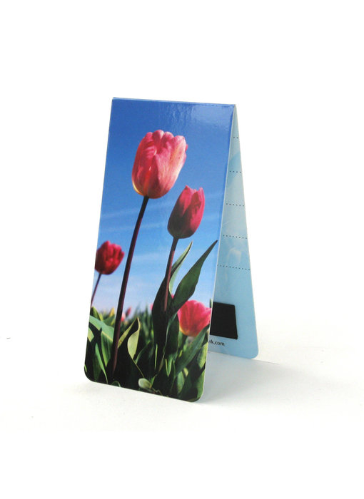Marcador magnético, campo de tulipanes