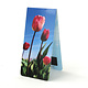 Marque-page magnétique, champ de tulipes