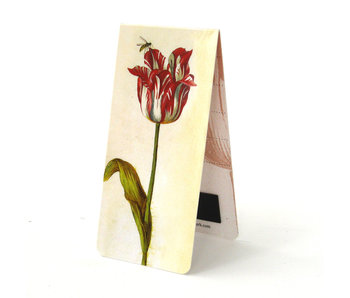 Marque-page magnétique, Jakob Marrel, tulipe rouge