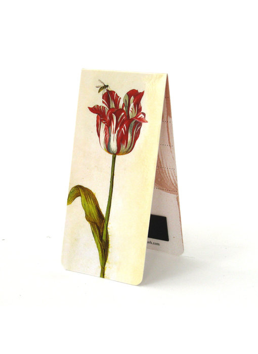 Marcador magnético, Jakob Marrel, tulipán rojo
