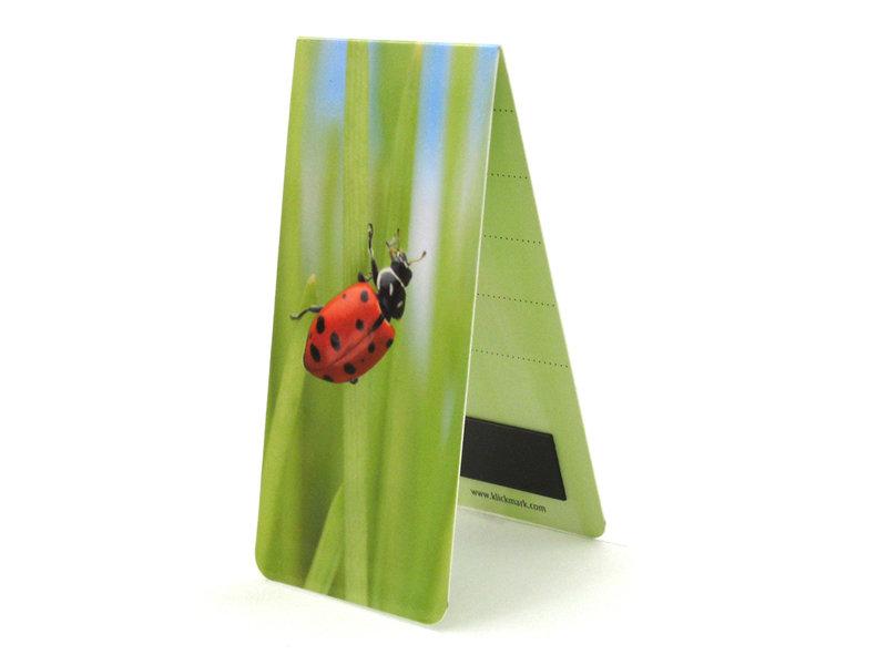 Magnetic Bookmark, Ladybug