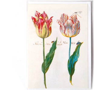 Doble tarjeta, Cuatro tulipanes con insectos, Marrel