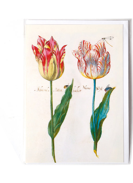 Doppelkarte, vier Tulpen mit Insekten, Marrel