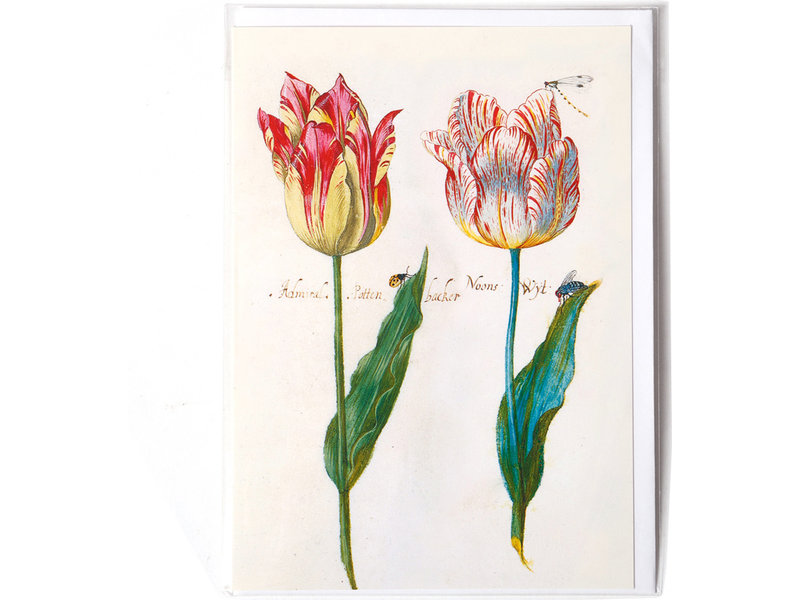 Doppelkarte, vier Tulpen mit Insekten, Marrel