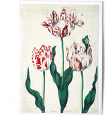 Double carte, Trois tulipes, Artiste inconnu