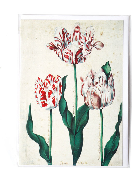 Double carte, Trois tulipes, Artiste inconnu